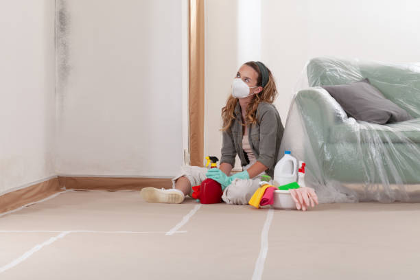 Trusted Commercial Mold Remediation service in Pineville, PA - Cheap Mold Removal